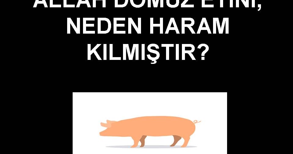 ALLAH DOMUZ ETİNİ, NEDEN HARAM KILMIŞTIR?