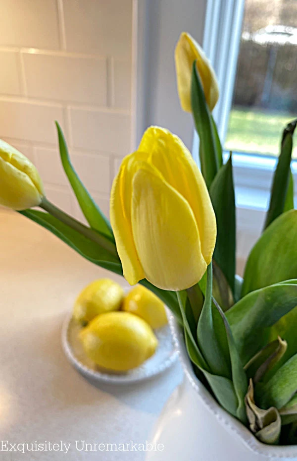 Yellow Tulip Bud in vase with lemons on plate behind it.