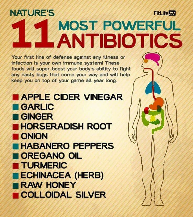 Antibiotik Semulajadi
