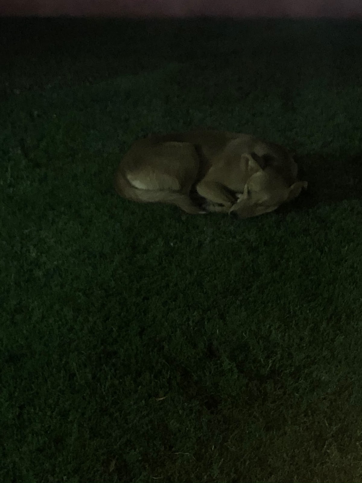 Spruche Kampfen Um Die Liebe Mit Herz Und Verstand