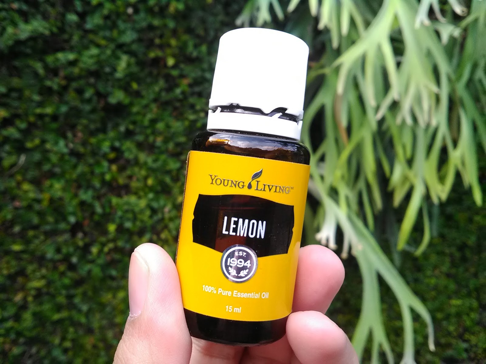 mantrianarani's world [REVIEW] Young Living Essential Oil Lemon