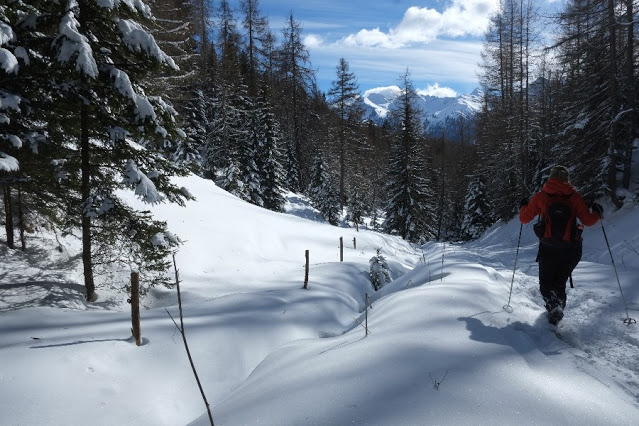 val di fiemme ciaspole