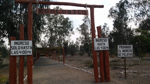 Zoológico Municipal de Tacna