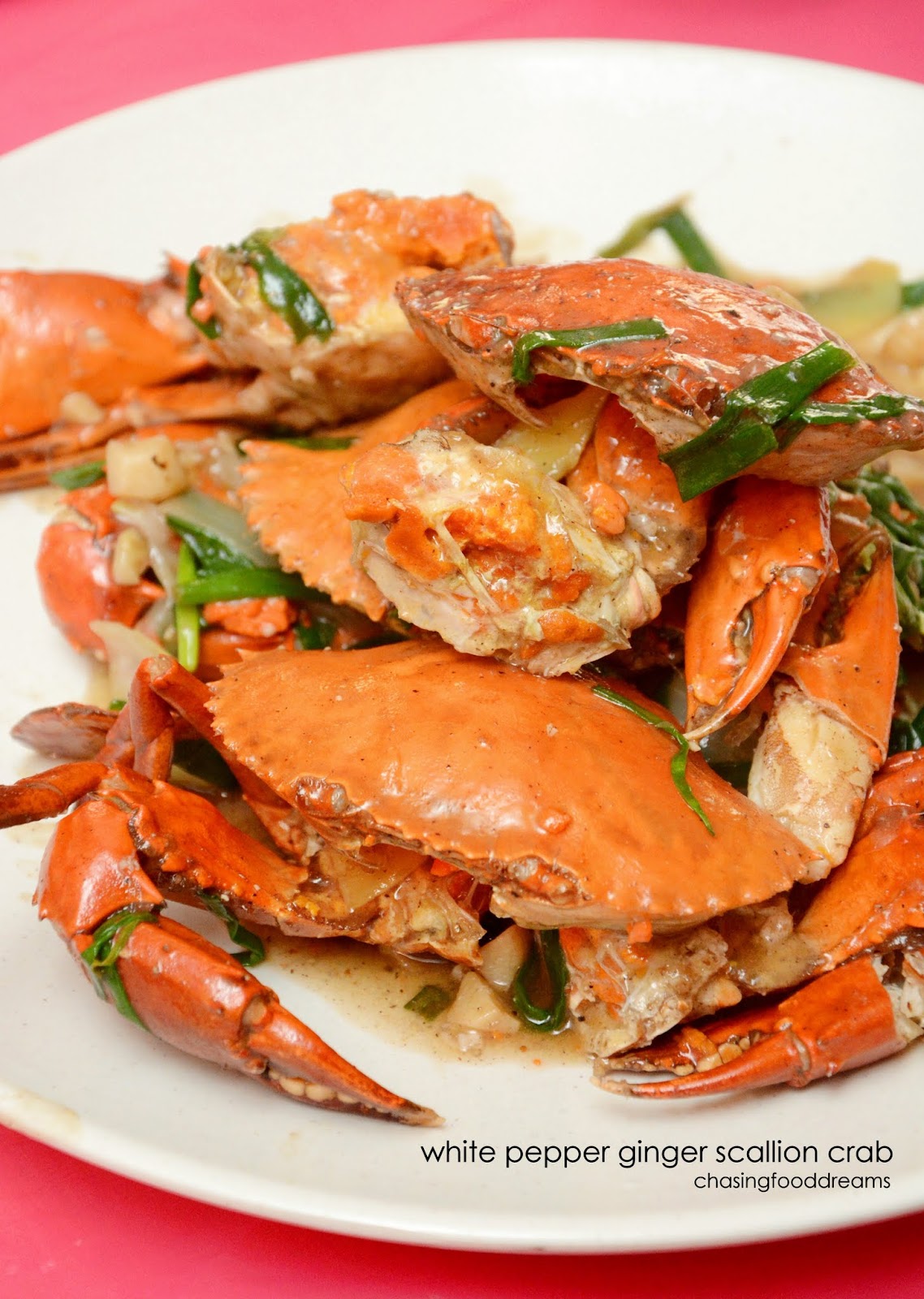 CHASING FOOD DREAMS Seafood Galore at Ocean Seafood Restaurant, Kota