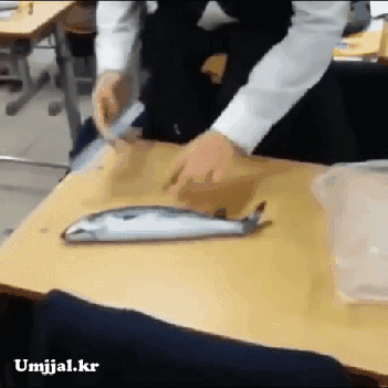Umjjal_kr_96.gif