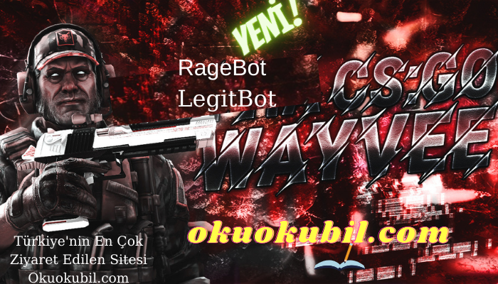 CS:GO 1.6  WAYVEE HVH Sunucu Legitbot, Ragebot Visuals Hileli İndir 2021