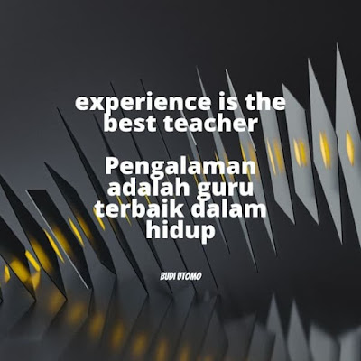 Makna ungkapan pengalaman adalah guru terbaik