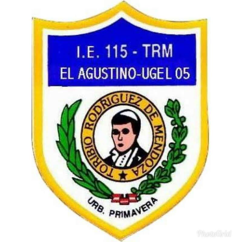 colegio 115