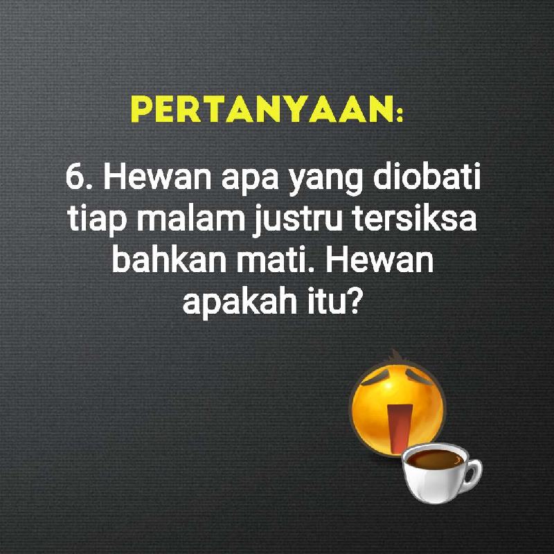 Teka Teki Logika Dan Jawabannya Bikin Tertawa Teka Teki Lucu