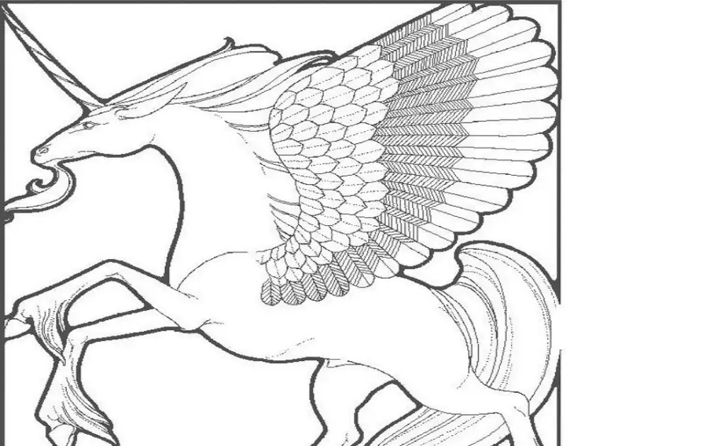 Coloring Page Of A Weirdly Shaped Unicorn