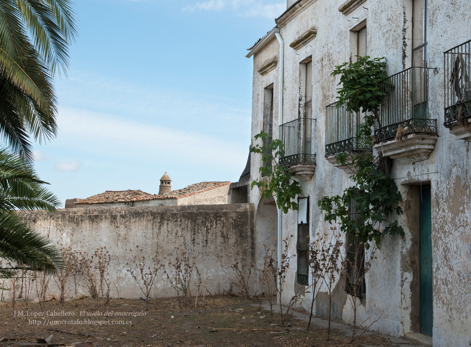 El vuelo del onocrótalo Heredamiento y Prado de la Aldehuela (Cáceres)