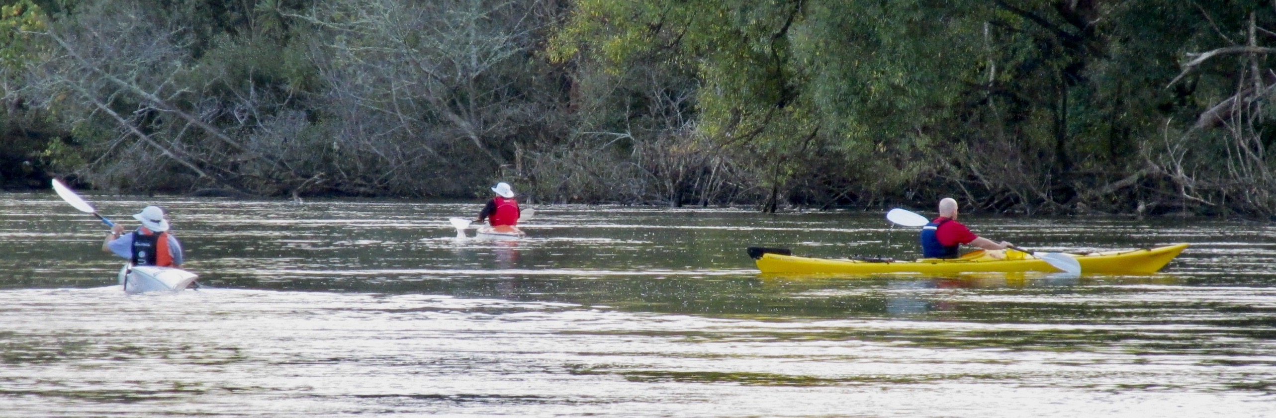 pukawaparadise The Death of a Kayak