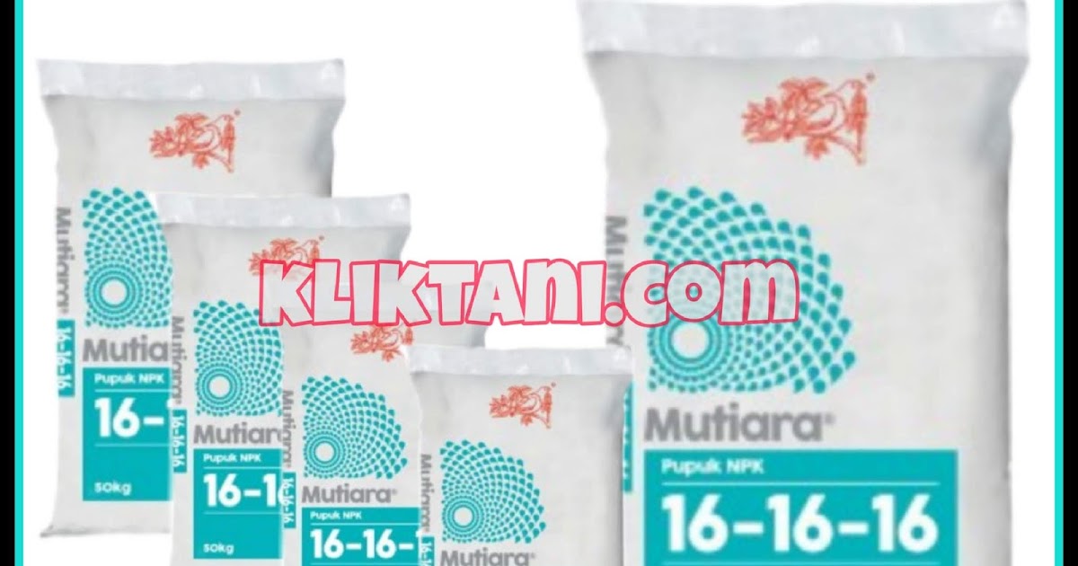 Dosis Pupuk Npk Mutiara Untuk Padi Cabai Sawit Dan Tanaman Lain Kliktani Com Dosis Pupuk Npk Mutiara Untuk Padi Cabai Sawit Dan Tanaman Lain Kliktani Com