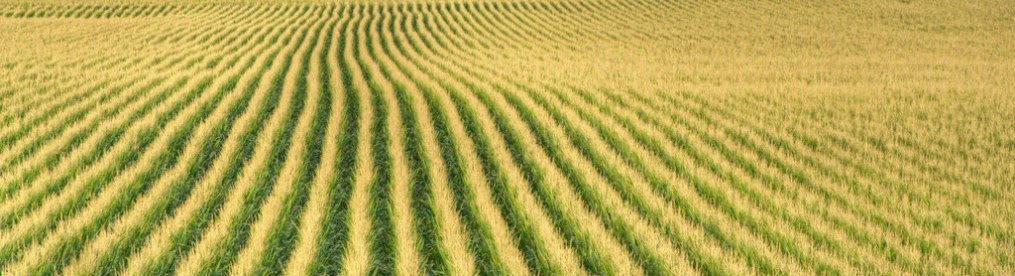 Ecopol Project - Portland State University: Monoculture of Food