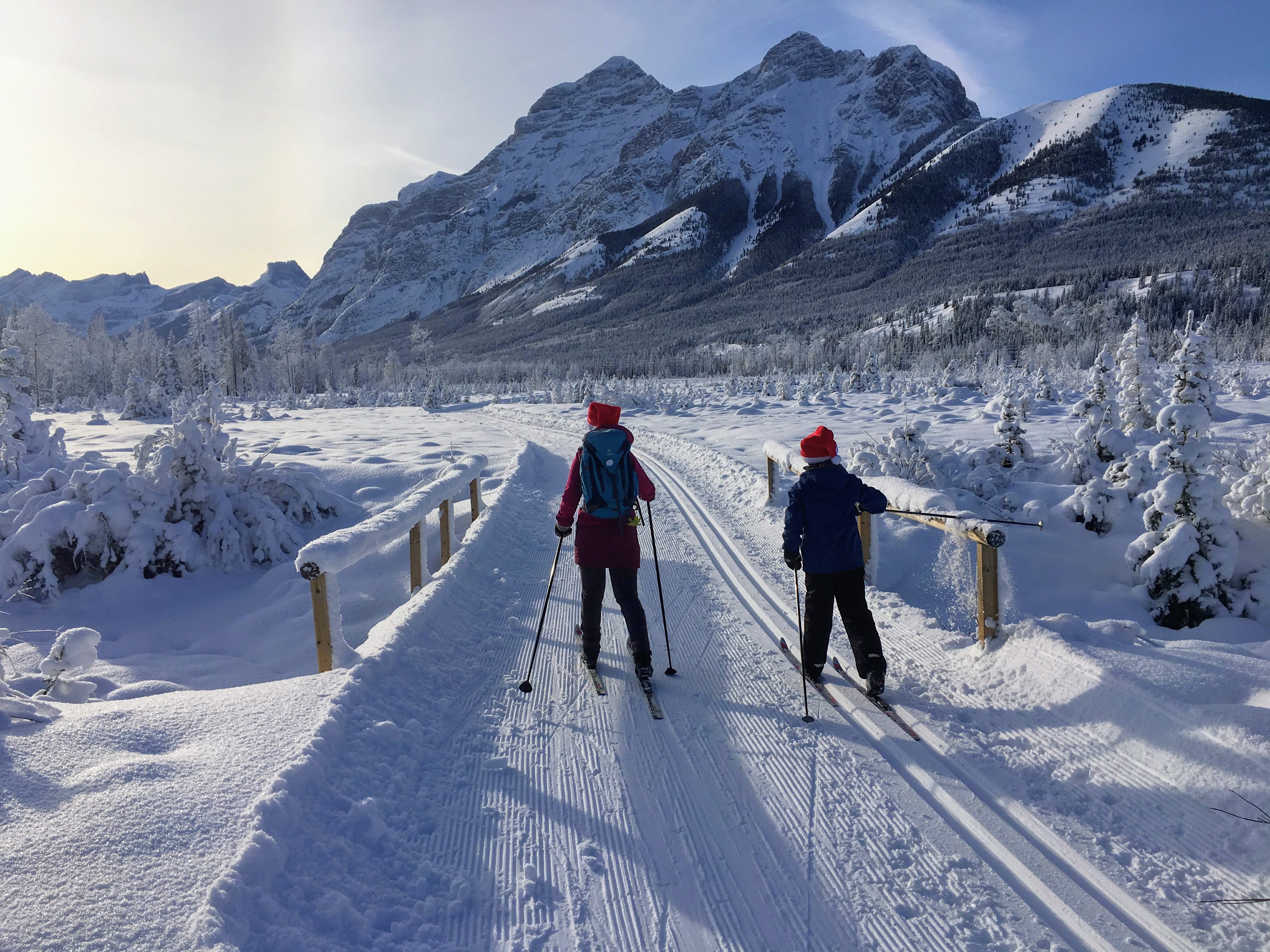 Family Adventures in the Canadian Rockies The Best Beginner CrossCountry Ski Trails near Calgary