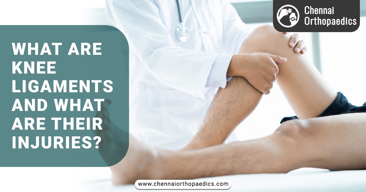What are knee ligaments and what are their injuries?