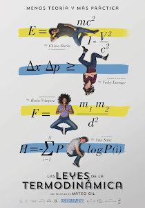 The Laws of Thermodynamics Poster