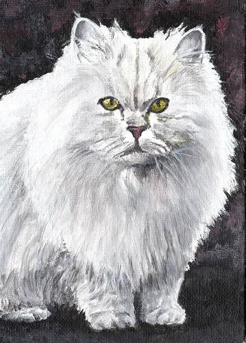 Persian Cat Acrylic Portrait