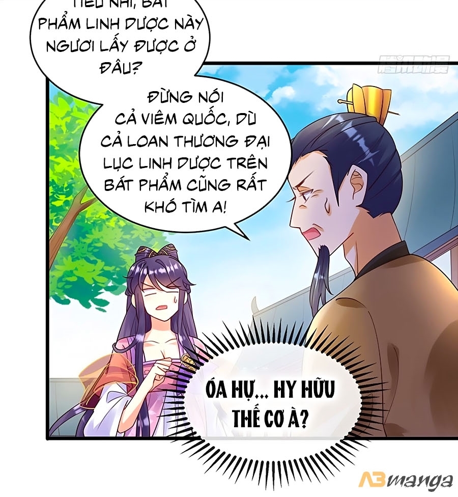 Quân Hỏa Nữ Hoàng Chapter 8 - Trang 2