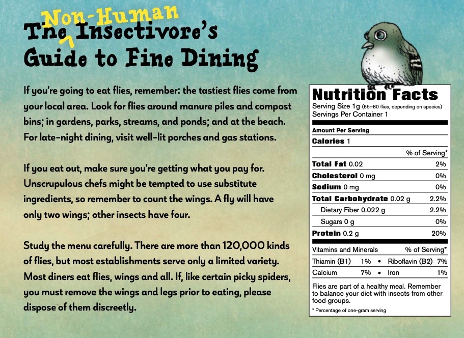 Group Blog 13 Ways to Eat a Fly by Sue Heavenrich and Many Ways to Create Great NF with Kathy