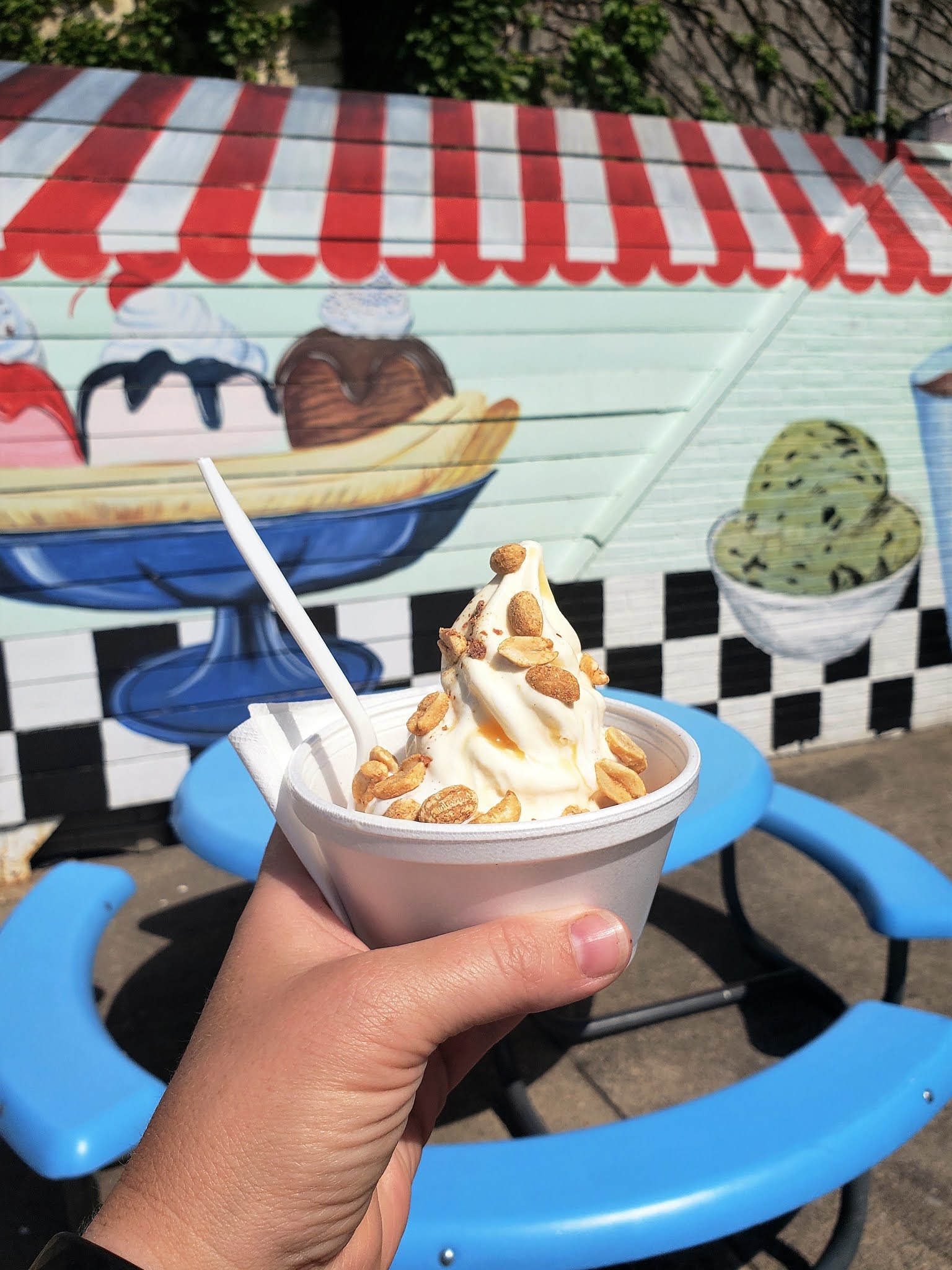 Corn, Beans, Pigs and Kids Iowa Ice Cream Road Trip at Twiins Shoppe