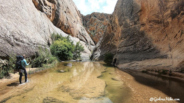 Backpacking Death Hollow, Escalante, Grand Staircase Escalante National Monument Backpacking Death Hollow, Escalante, Grand Staircase Escalante National Monument