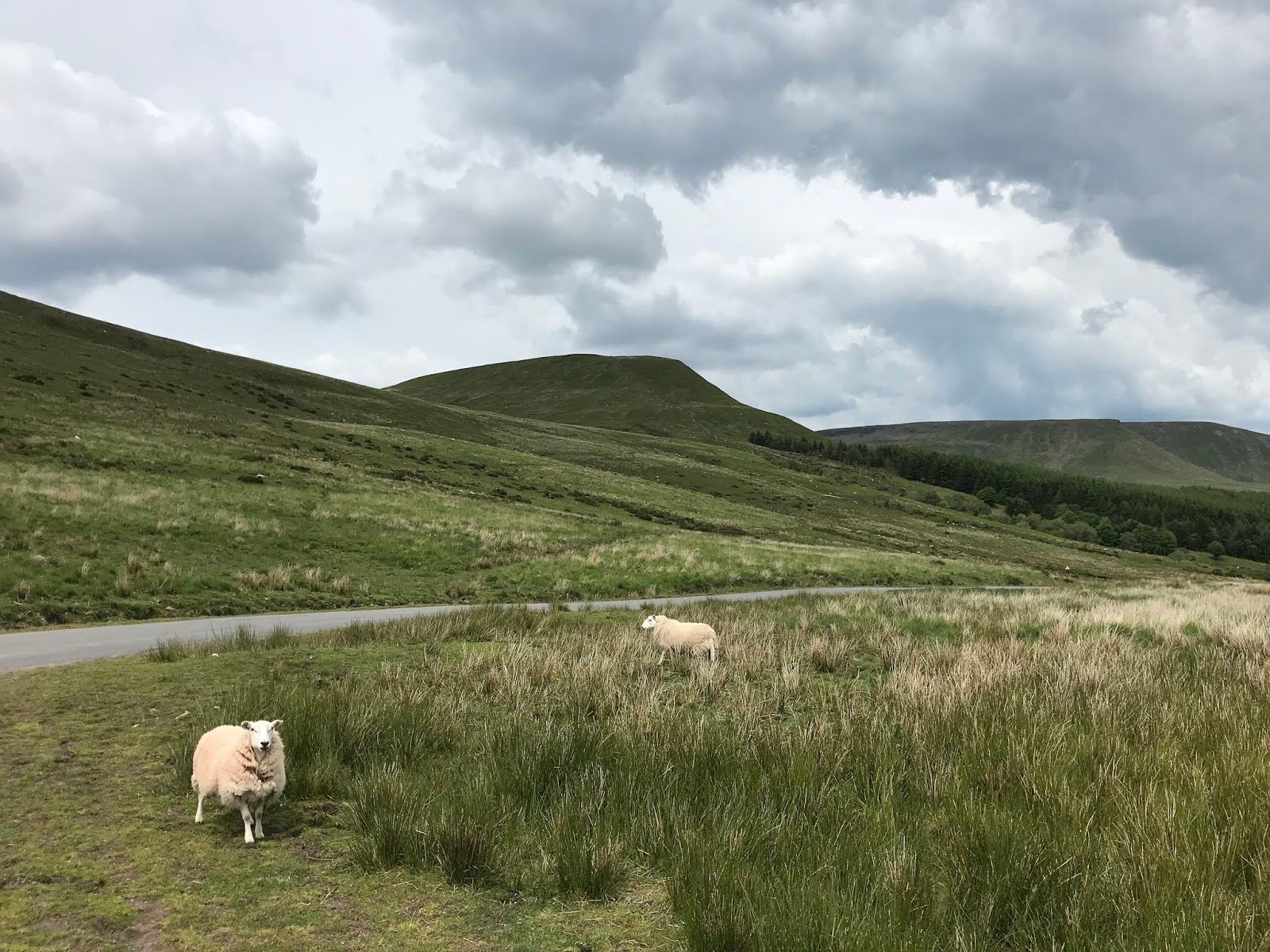 Pam and Vernon - Wimbledon and the UK: Lacock, Tintern Abbey and Brecon