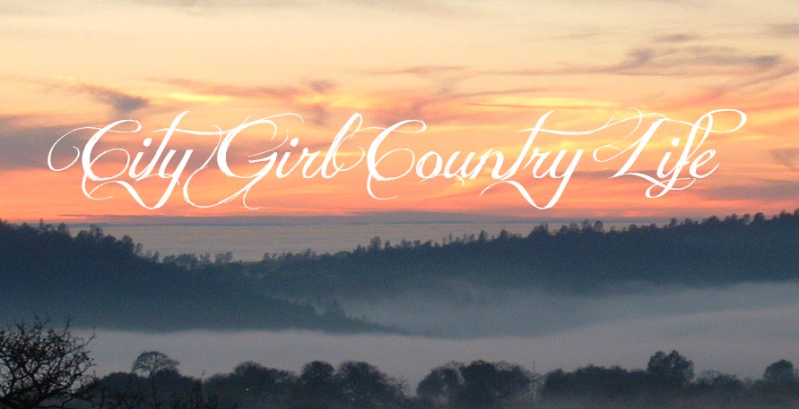 City Girl Country Life