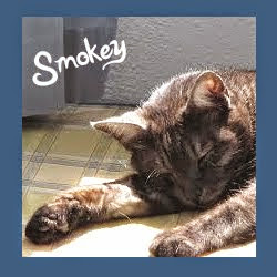 Smokey