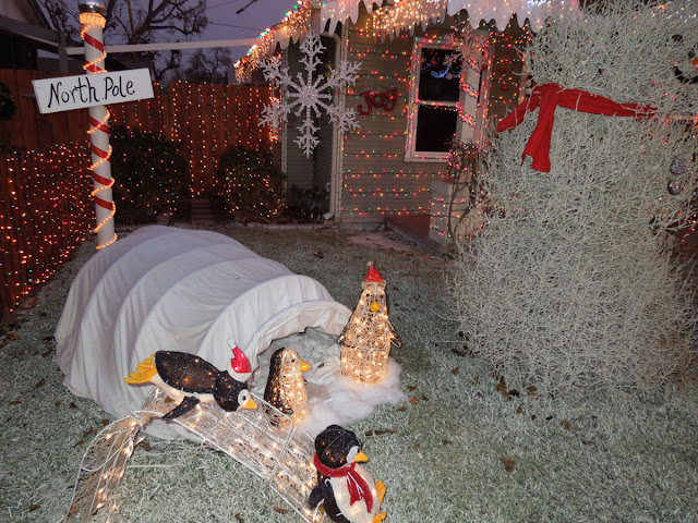 North Pole Theme with Penguins on Snow Slide