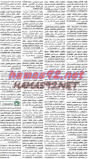 وظائف خالية فى جريدة الوسيط مصر الجمعة 06-11-2015 %25D9%2588%2B%25D8%25B3%2B%25D9%2585%2B16