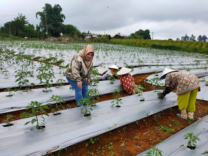 Adikarya Parlemen : Akibat Imbas Covid-19, Nasib Petani Harus Diperhatikan