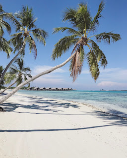 best resorts in maldives for honeymoon