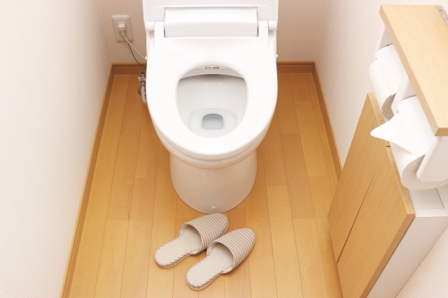 【カラダ】女性の疑問!!男性はおしっこをした後になんで拭かないのか?