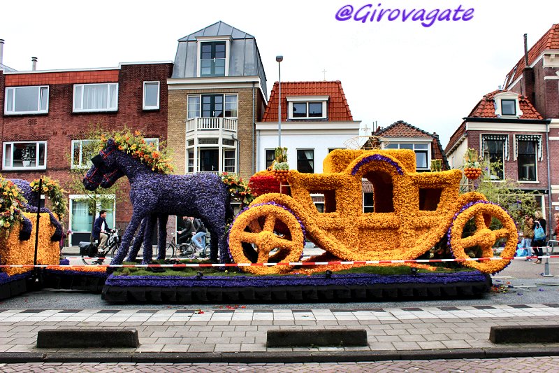 Haarlem, i tulipani e il museo Frans Hals! GIROVAGATE IDEE DI VIAGGIO