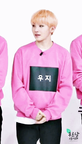 세븐틴) 세븐틴 우지가 하는 일 | 인스티즈