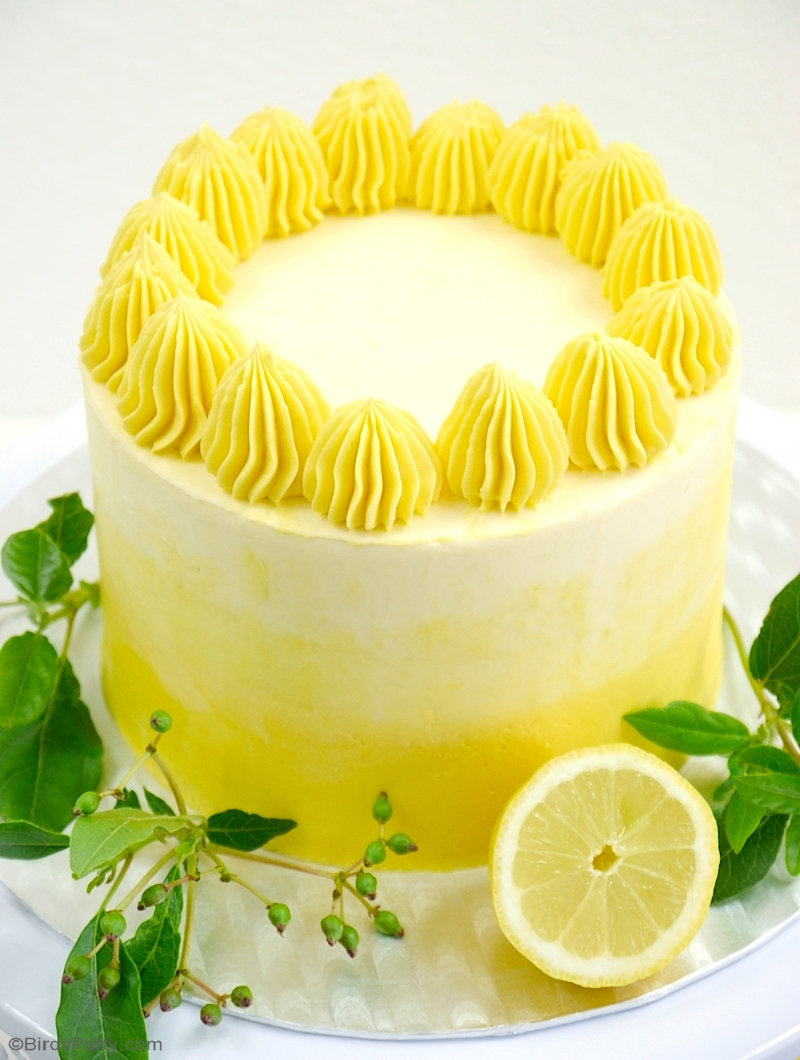 Lemon Ombre Layer Cake with Lemon Curd Filling Party Ideas Party