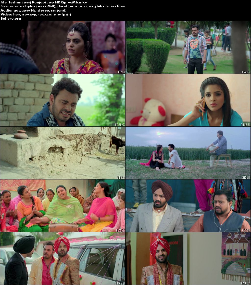 Teshan 2016 HDRip 350MB Full Movie Punjabi 480p Download