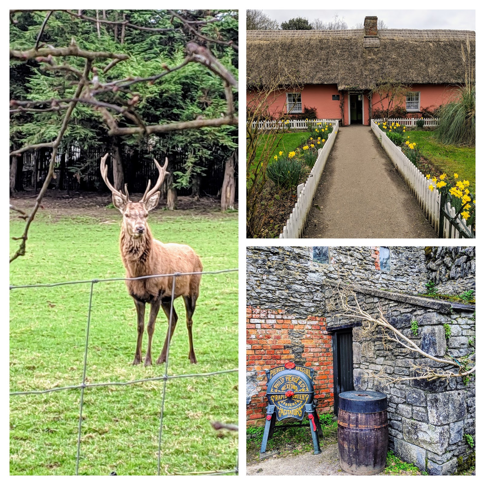 Fantastic Things To Do In Limerick Ireland