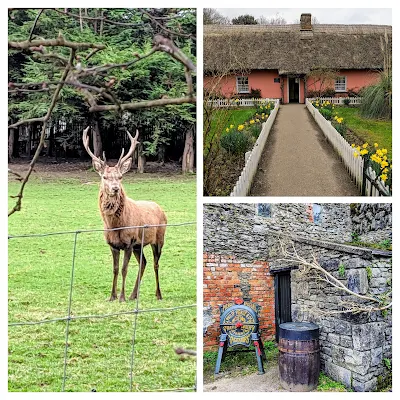 Day trips from Limerick City: Bunratty Castle and Folk Park