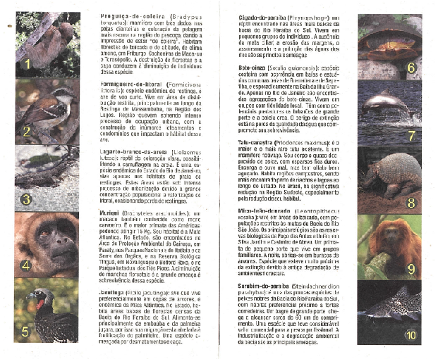 FAUNA DO RIO: MAPAS