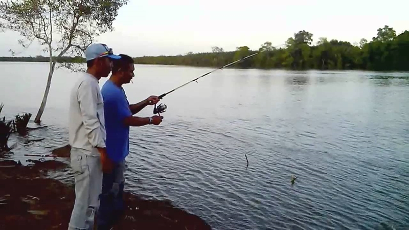 Detik Detik Menegangkan Penangkapan Kepiting Raksasa Mancing Kepiting Berburu Kepiting Youtube