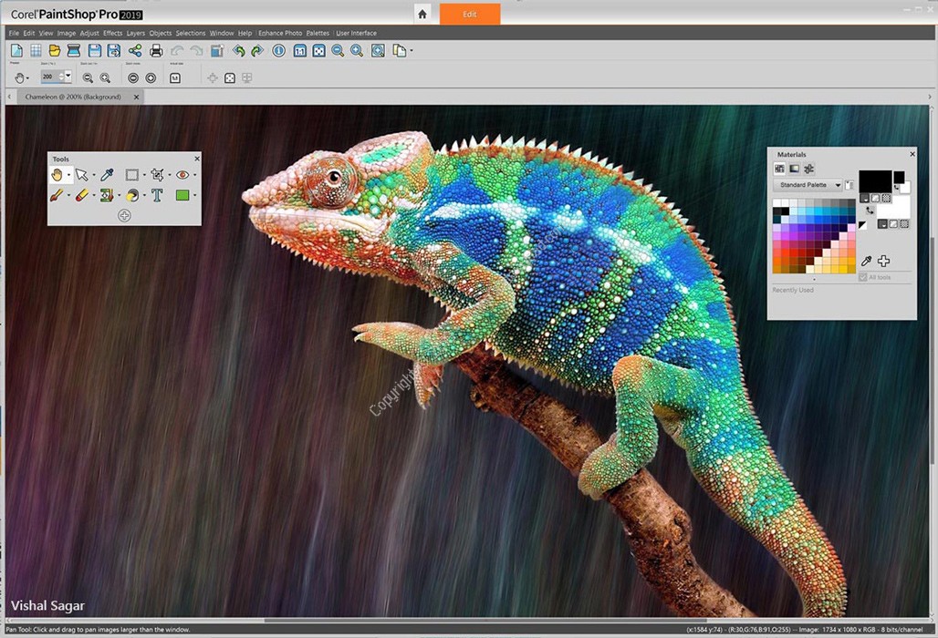 Corel Pro 2020 + Addons Free Download Tech Chiko