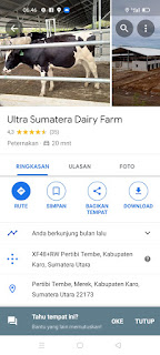 Perusahaan sapi perah terbesar di Indonesia Perusahaan sapi perah terbesar di Indonesia