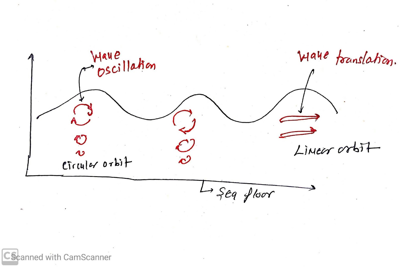How are ocean waves formed? Distinguish between a wave of oscillation