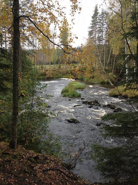 พักร่างที่ Storforsen