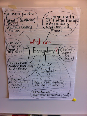 OUR SCIENCE MINIWORLD : Science 2º