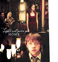 ronmione ron hermione lights guide granger weasley harry potter loveteam