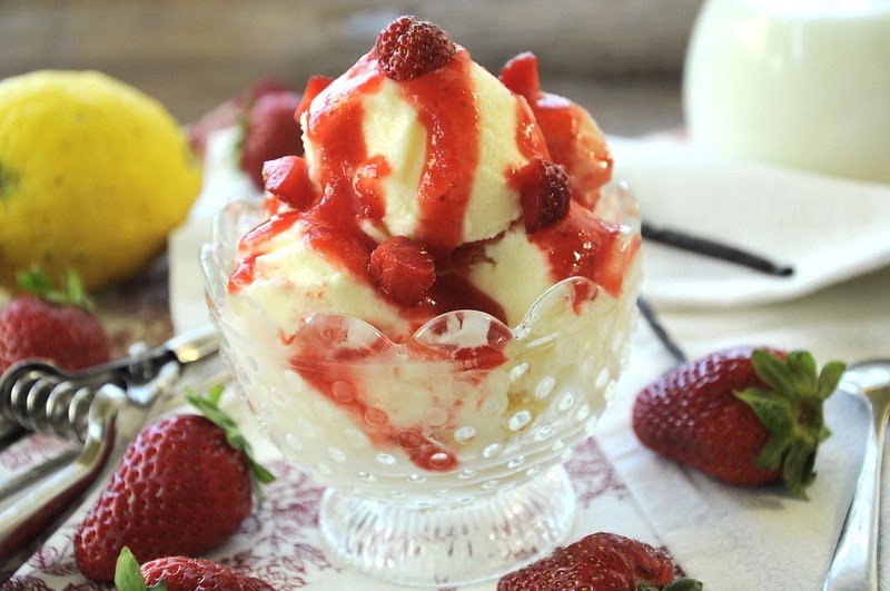 Thermomix Ice Cream Recipe