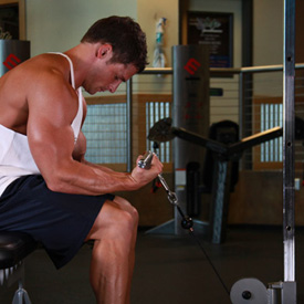 Cable Machine Bicep Curls